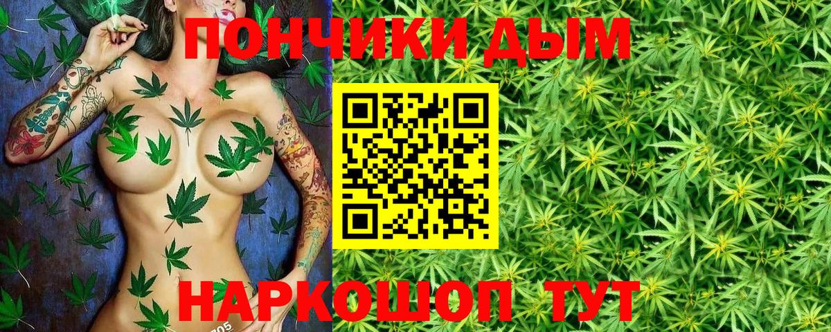Конопля конопля Нерюнгри